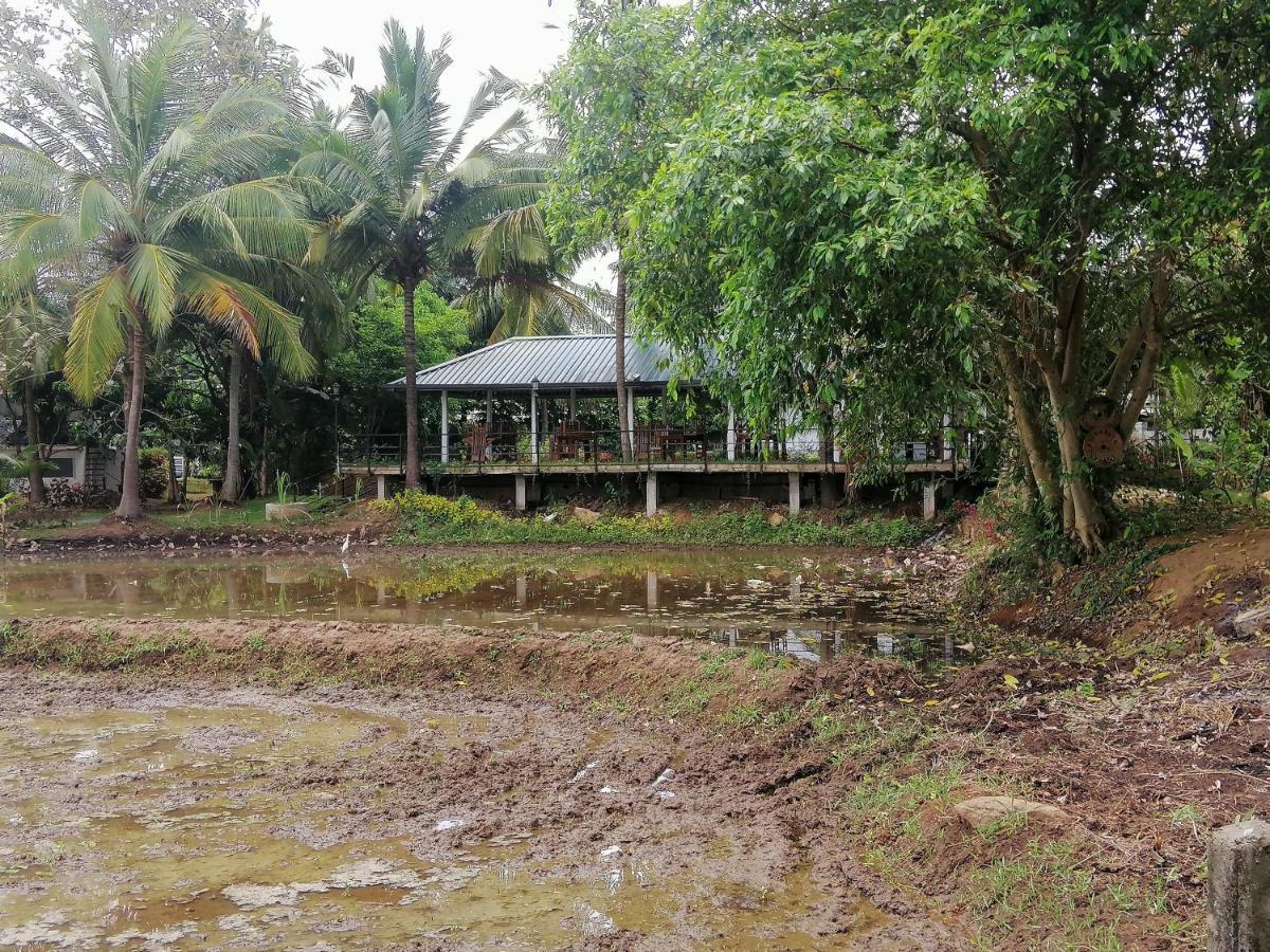 Rajarata Family Resort Anuradhapura Buitenkant foto